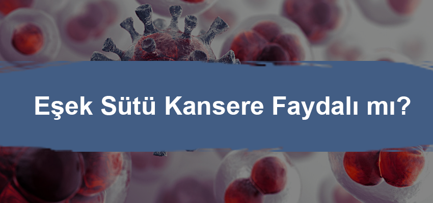 Eşek Sütü Kansere Faydalı mı?