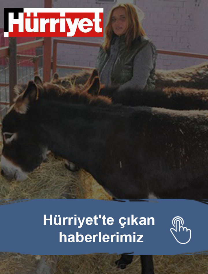 Hürriyet