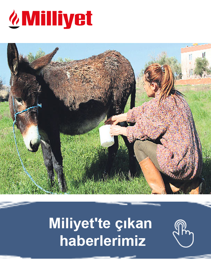 Milliyet